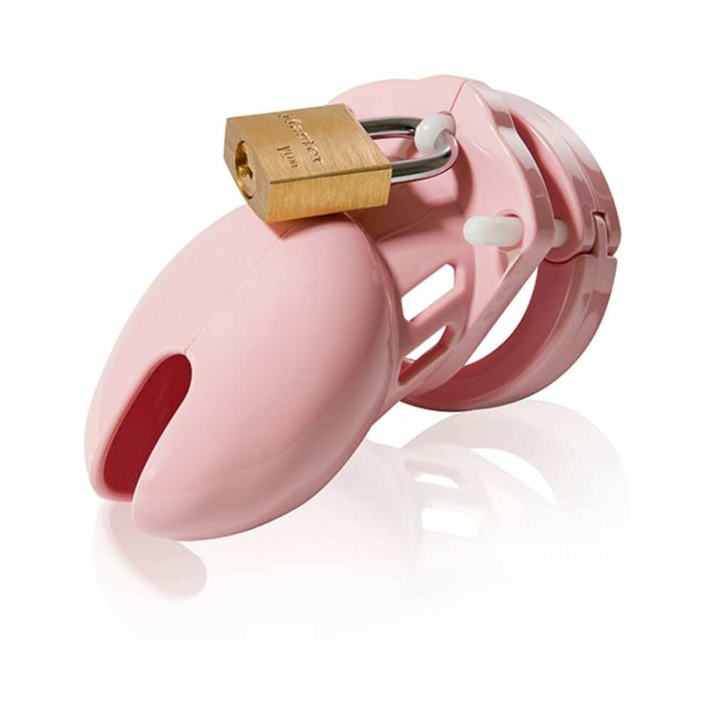 CB-6000S chastity cage shown worn - BDSM Authority