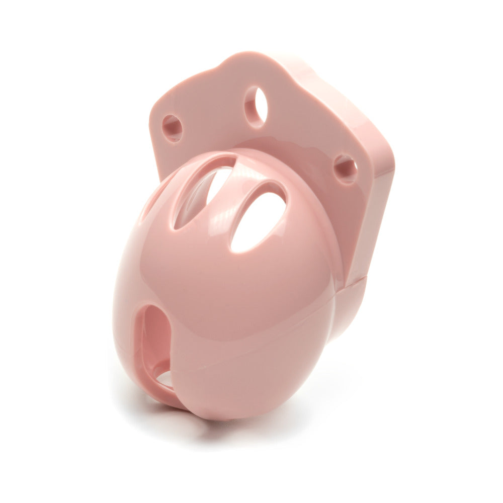 CB-X Mini-Me rings, pins, and lock laid out - BDSM Authority