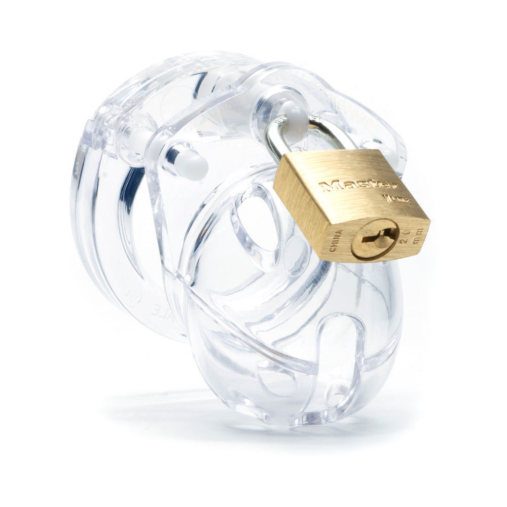 CB-X Mini-Me rings, pins, and lock laid out - BDSM Authority