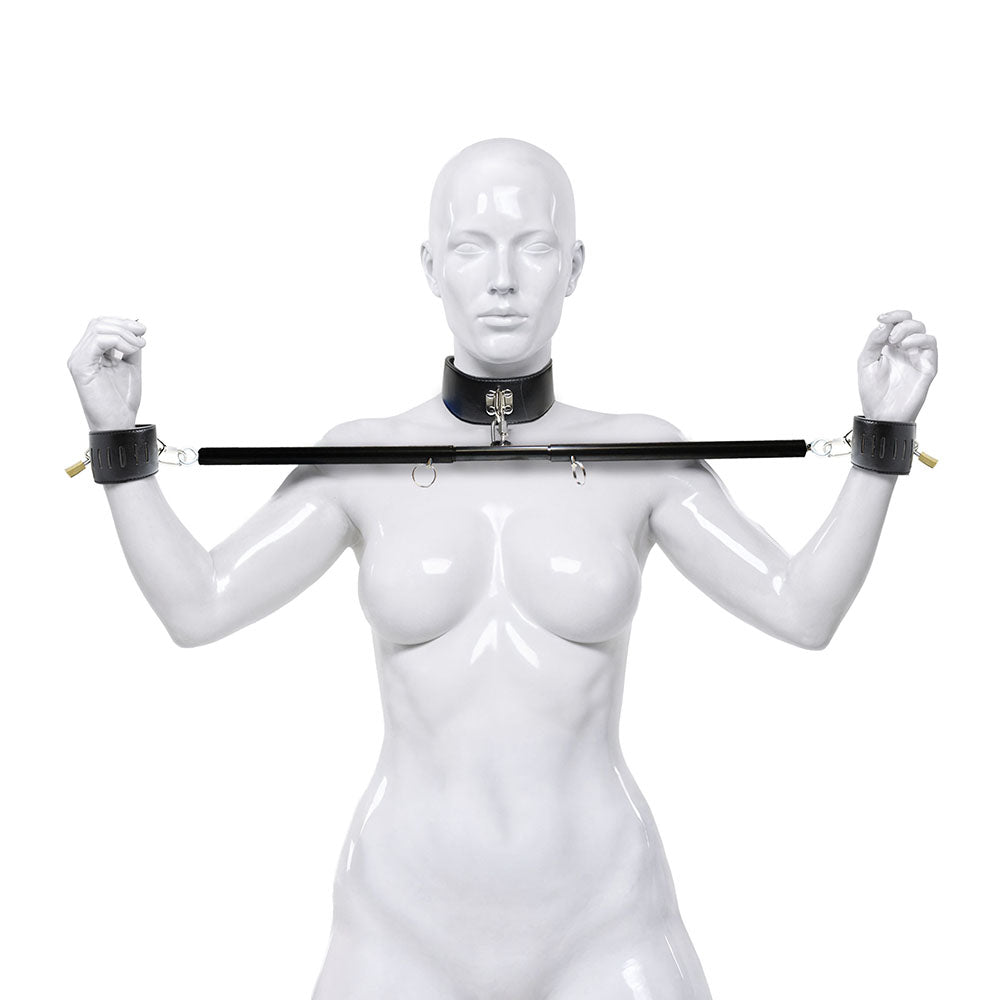 Master Series Dominion collar and spreader bar shown on a form - BDSM Authority