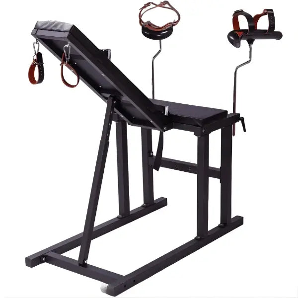 Multi-position restraint chair for full-body control and precision access back view showing reinforced frame, adjustable structure, and secure support design
