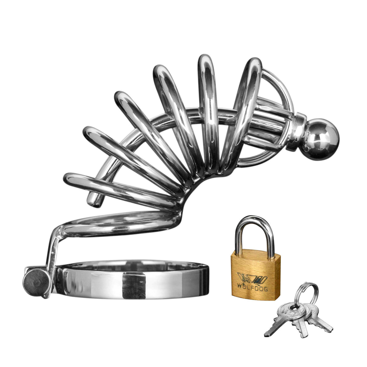 Asylum 6 Ring Locking Chastity Cage stainless steel cock cage - BDSM Authority