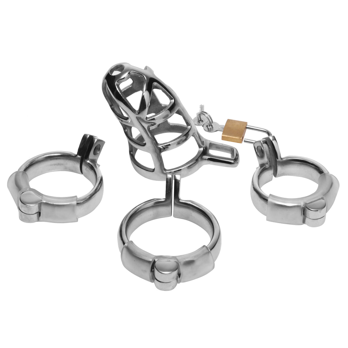 Detained chastity cage shown with its three sizing rings - BDSM Authority