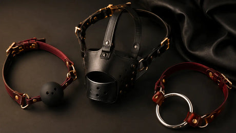 Premium leather muzzles and gags flat lay BDSMAuthority