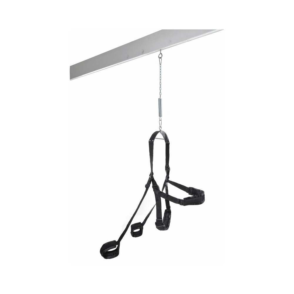 Fetish Fantasy Fantasy Swing full swing view - BDSM Authority