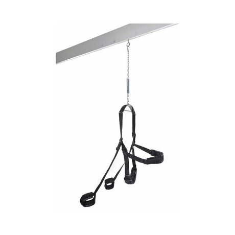 Fetish Fantasy Fantasy Swing full swing view - BDSM Authority