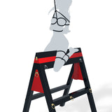 Spanish Donkey Restraint Equipment