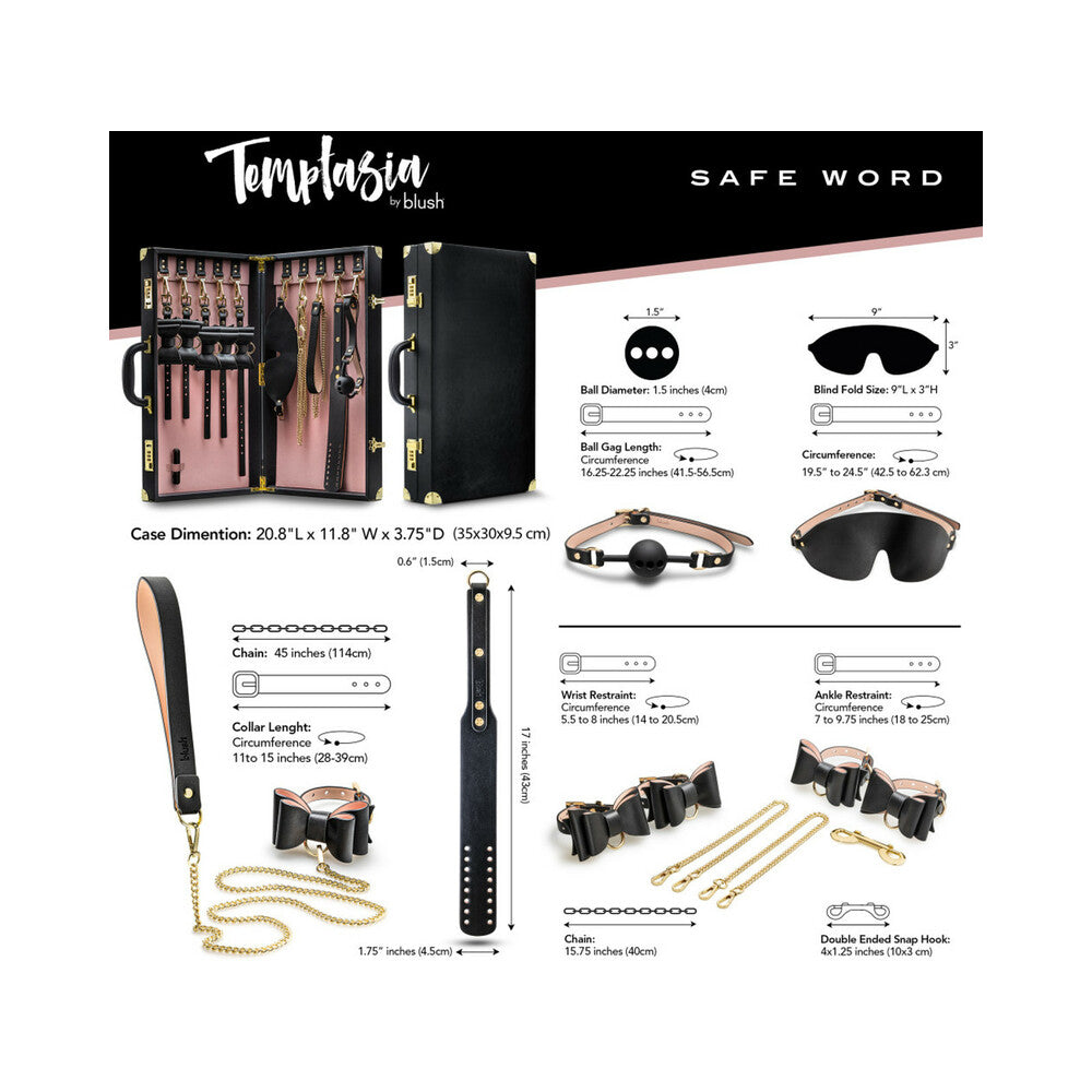 Temptasia Safe Word suitcase with working combination locks - BDSM Authority