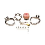 Master Series Pussy Boy chastity cage shown assembled - BDSM Authority
