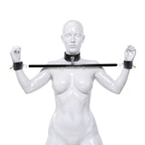 Master Series Dominion collar and spreader bar shown on a form - BDSM Authority
