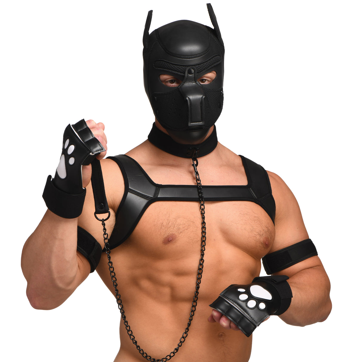 9 Piece Deluxe Pup Arsenal puppy play kit with neoprene hood, tail plug, collar and harness laid out at BDSM Authority