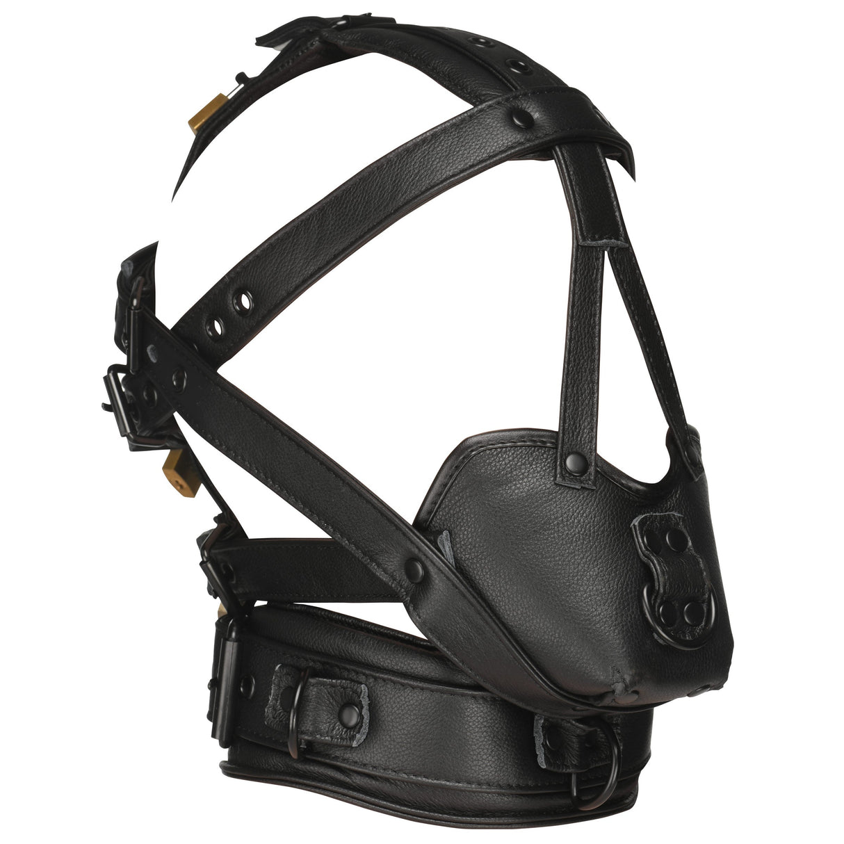 Genuine leather head harness straps and buckles laid flat - BDSM Authority