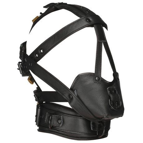 Genuine leather head harness straps and buckles laid flat - BDSM Authority