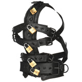 Detail of the leather muzzle and D-ring on the head harness - BDSM Authority