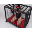 BDSM cage on wheels with full-body restraint and 360-degree access control system, BDSM Authority
