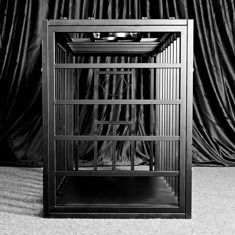 Heavy-duty double-lock position cage door open view showing access design, BDSM Authority