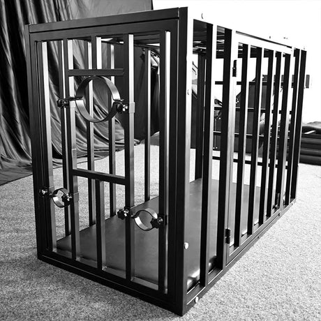 Double-lock position cage interior view with structured internal positioning space, BDSM Authority