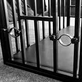 Double-lock position cage lock detail showing dual-security latch hardware, BDSM Authority
