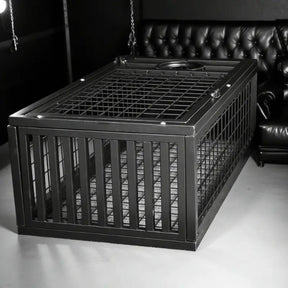Heavy-duty standing BDSM cage with vertical steel frame for full-body confinement, BDSM Authority