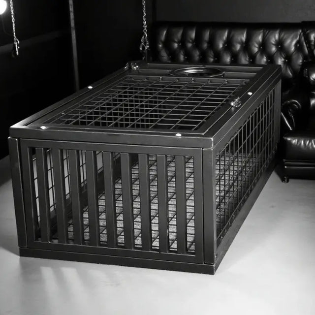 Heavy-duty standing BDSM cage with vertical steel frame for full-body confinement, BDSM Authority