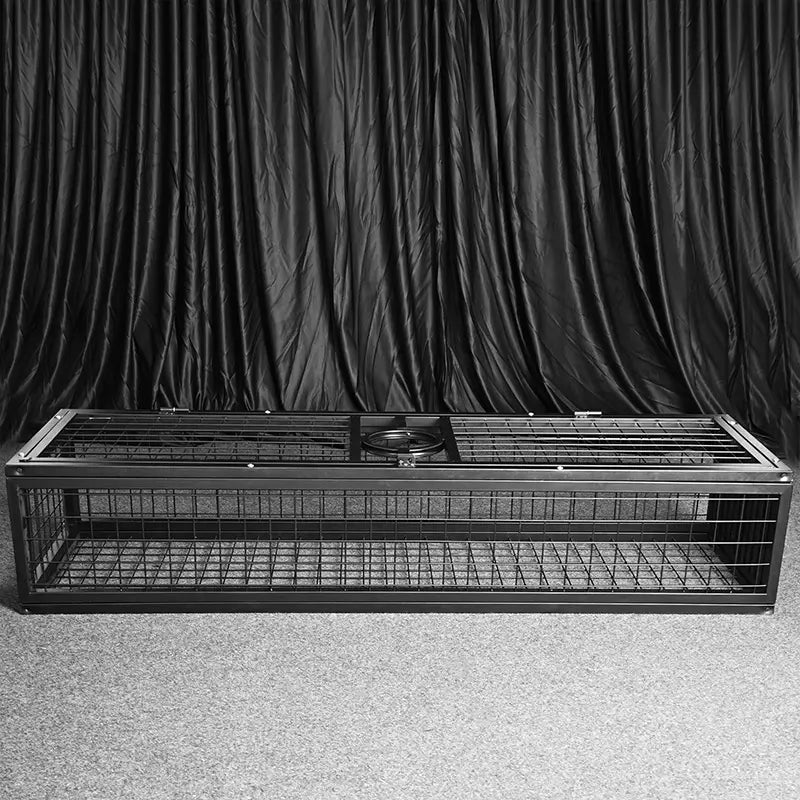 Heavy-duty standing BDSM cage rear view with reinforced steel bars and stable base, BDSM Authority