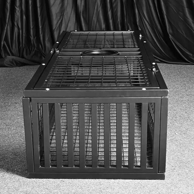 Heavy-duty standing BDSM cage top view showing internal positioning space and ceiling support, BDSM Authority