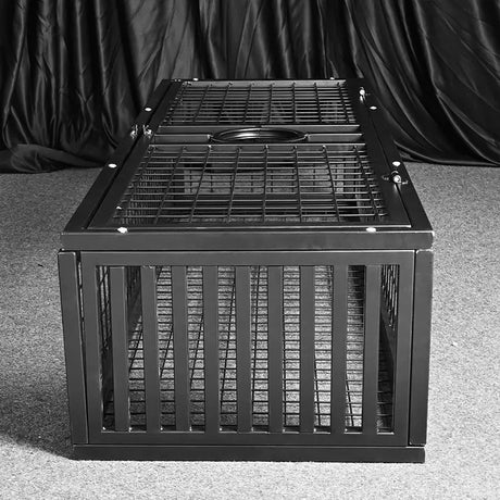 Heavy-duty standing BDSM cage top view showing internal positioning space and ceiling support, BDSM Authority