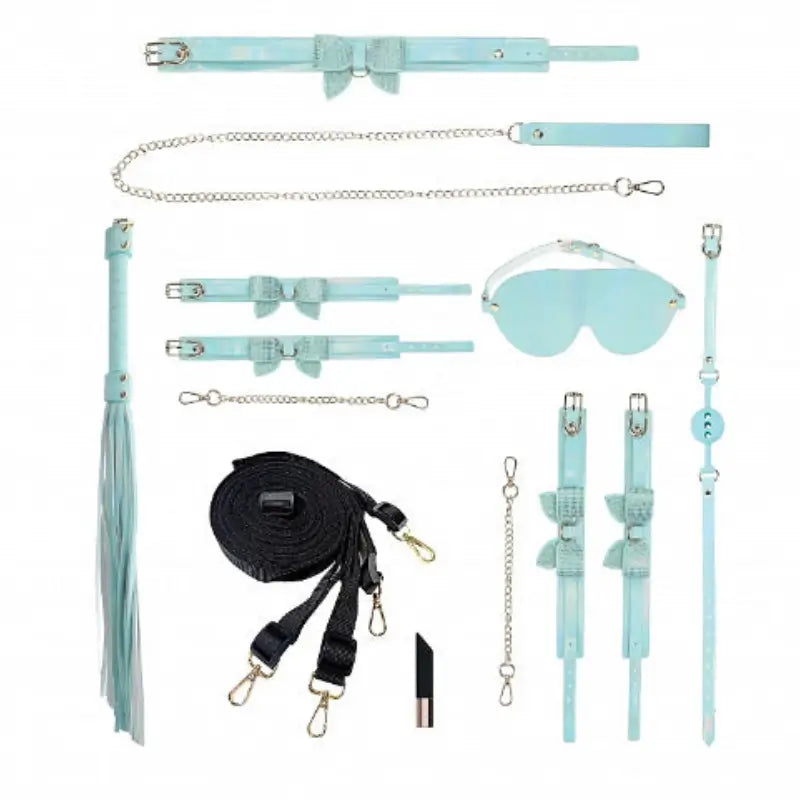 Ouch! International Paris Collection 8-Piece Bondage Kit with Iridescent Handbag, Collar and Leash, Cuffs, Flogger and Rechargeable Vibrating Bullet