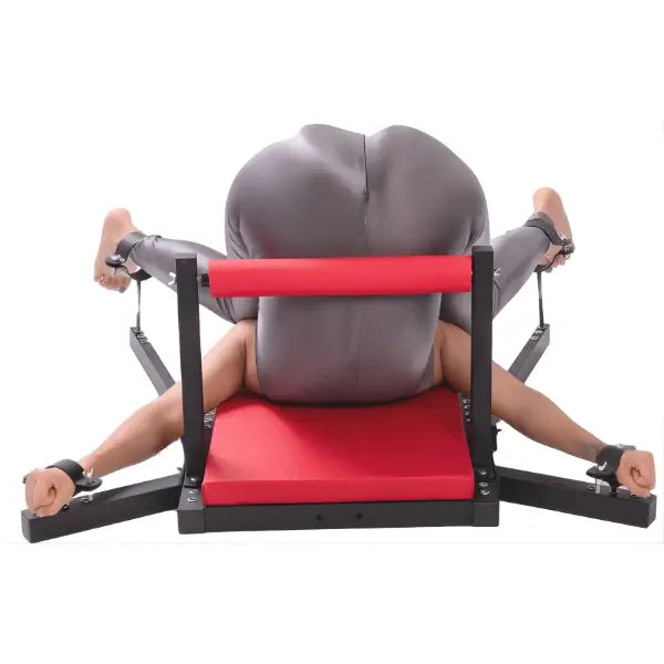 Portable commercial-grade adjustable restraint bench system, back view showing adjustable platform structure and reinforced frame design
