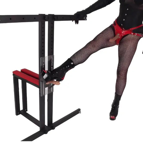 Precision exposure training bench, full view - BDSM Authority