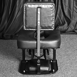 Studio-grade golden shower chair HQJS-016 back view showing premium golden frame structure and ergonomic waterproof seating design for bathroom and shower use

