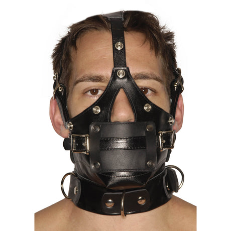 Premium BDSM Muzzle Mask with Detachable Blindfold and Two Interchangeable Gags detail view 1, BDSM Authority