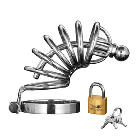 Asylum 6 Ring Locking Chastity Cage stainless steel cock cage - BDSM Authority
