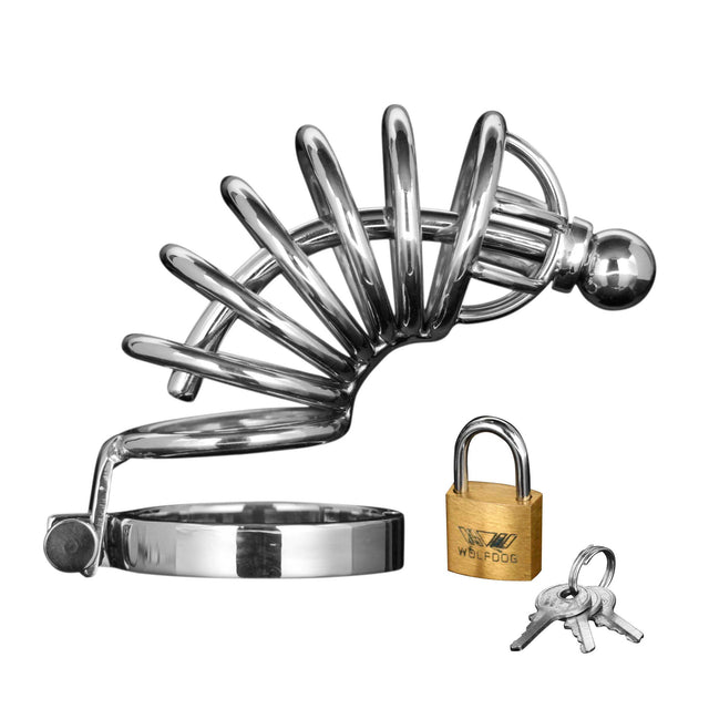Asylum 6 Ring Locking Chastity Cage stainless steel cock cage - BDSM Authority