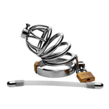 Stainless steel chastity cage components shown separated: cage, silicone urethral plug, base ring, lock and keys - BDSM Authority