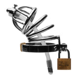 Stainless steel chastity cage with silicone urethral plug and base ring shown assembled - BDSM Authority