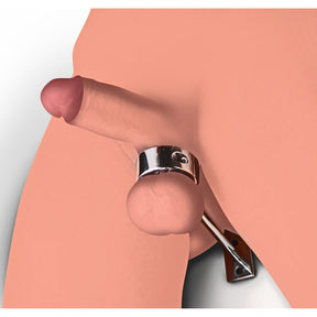 Master Series locking mounted CBT ball stretcher with bar at BDSM Authority