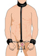 Penis Pillory CBT Restraint