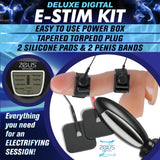 Deluxe E-Stim Kit power box and components arranged - BDSM Authority