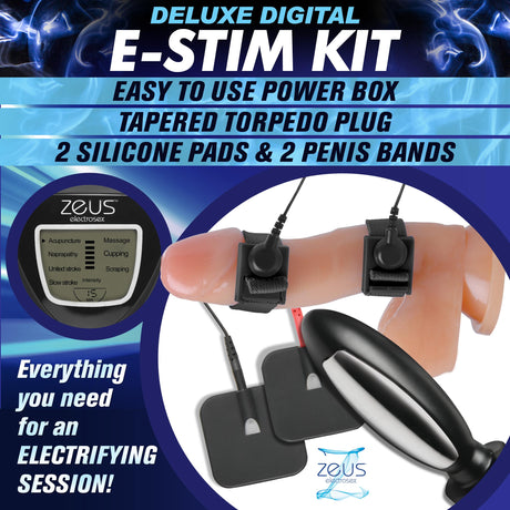 Deluxe E-Stim Kit power box and components arranged - BDSM Authority
