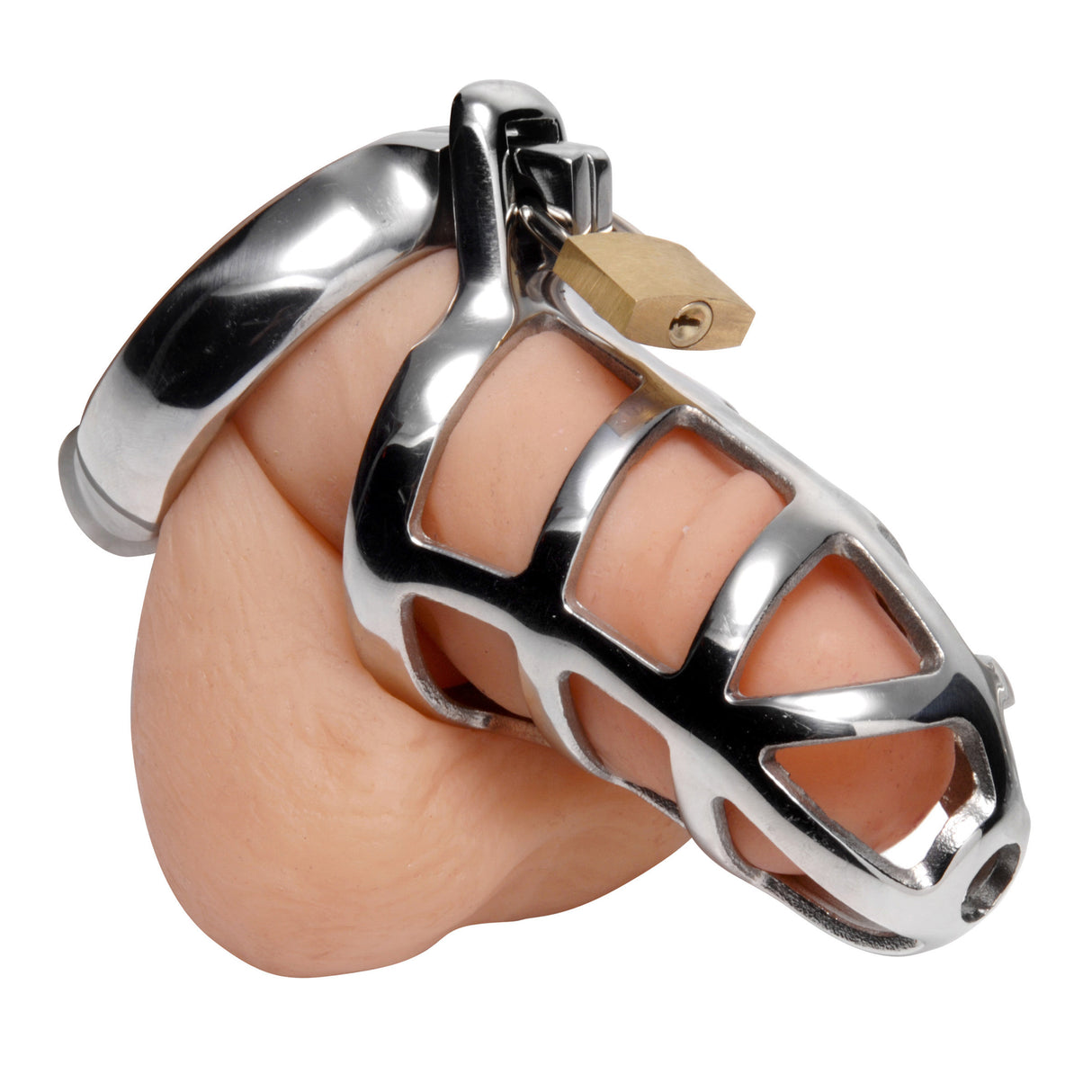 Detained zinc alloy chastity cage product view - BDSM Authority