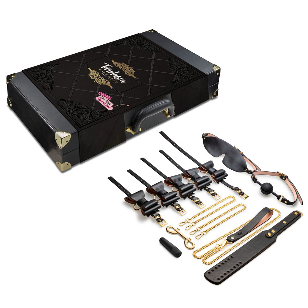 Temptasia Safe Word bondage kit case closed with combination lock at BDSM Authority